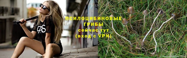 таблы Няндома