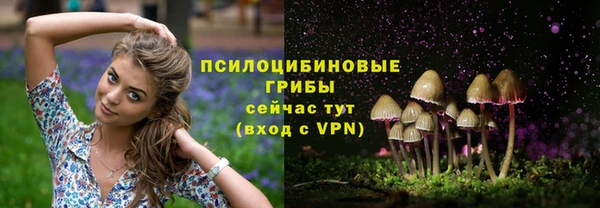 гашиш Нязепетровск