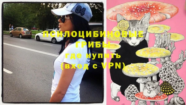 таблы Няндома